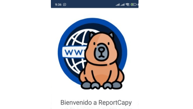 ReportCapy
